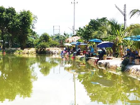 Quản lý cá và nước hồ câu