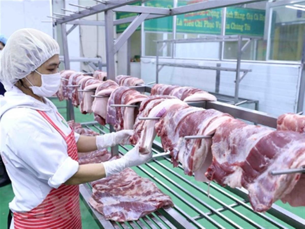 NGUYÊN NHÂN GIÁ LỢN THỊT GIẢM HIỆN NAY